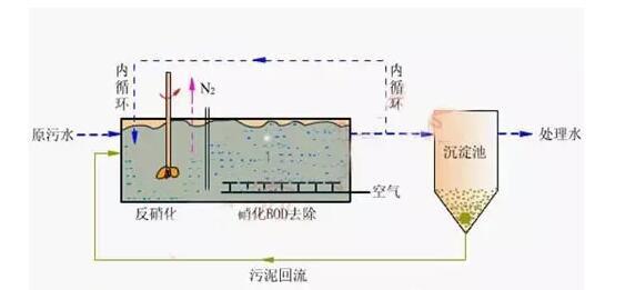 高浓度，高氨氮