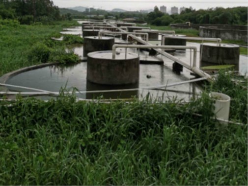 养殖污水处理_畜禽养殖污水处理设备_金版环保